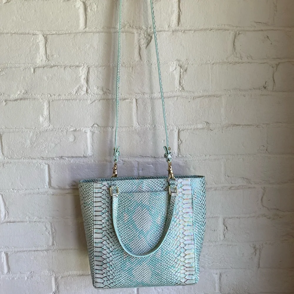 Brahmin new without
